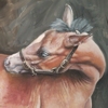 Paintings
