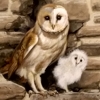 Murals near Northleach