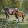 Kitchen mural on canvas, rented house near Stamford